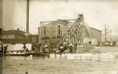 Ice Harvest